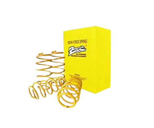 Zoom Downforce Front Lowering Springs Left & Right Set Fits Honda Acty Truck HA4