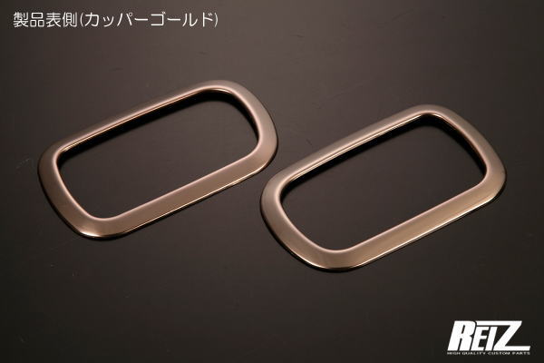 REIZ Inside Door Handle Bezel Set for DA16T Carry Truck Stainless Steel