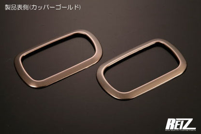 REIZ Inside Door Handle Bezel Set for DA16T Carry Truck Stainless Steel
